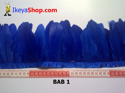 Bulu angsa BAB 1   feather  large2